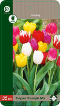 Grønne Fingre® tulipanløg 'Triumph Mix' 15 stk.